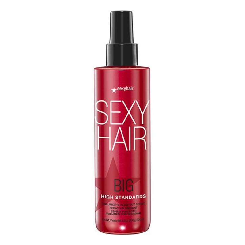 Sexy Hair — High Standards 6.8oz