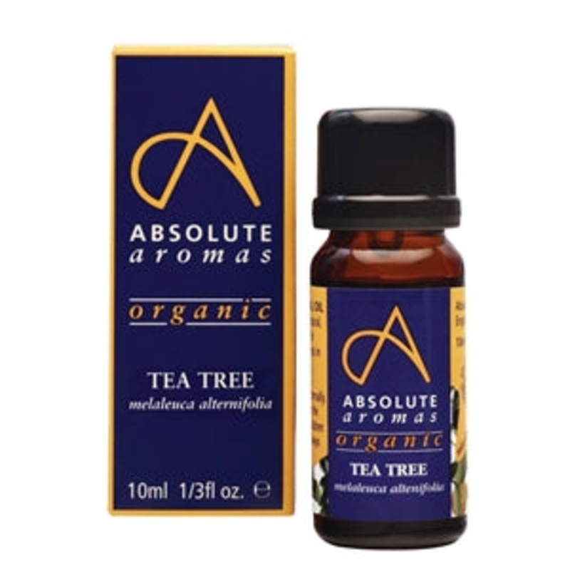Absolute Aromas – Organic Tea Tree 10ml