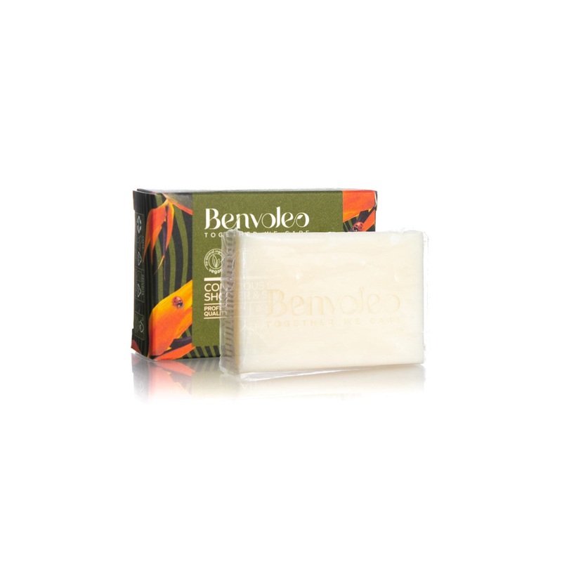 ALFAPARF BENVOLEO CONSCIOUS DAILY SHOWER & SHAMPOO 80G