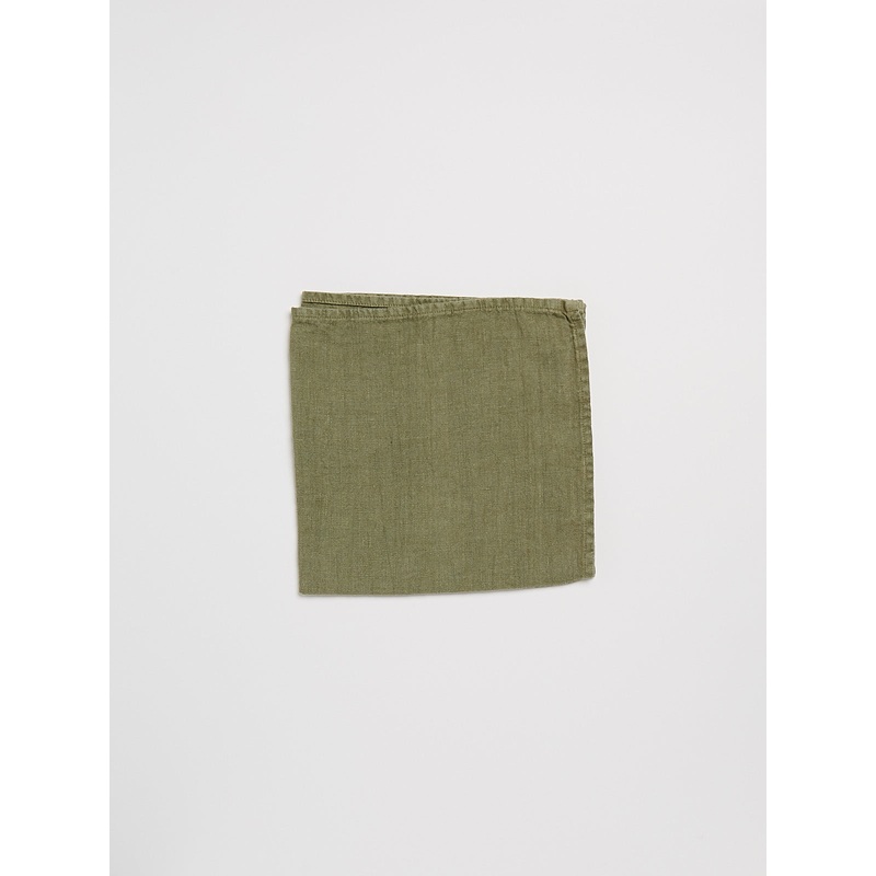 Set of 2 Heavy Linen Napkin in Mint