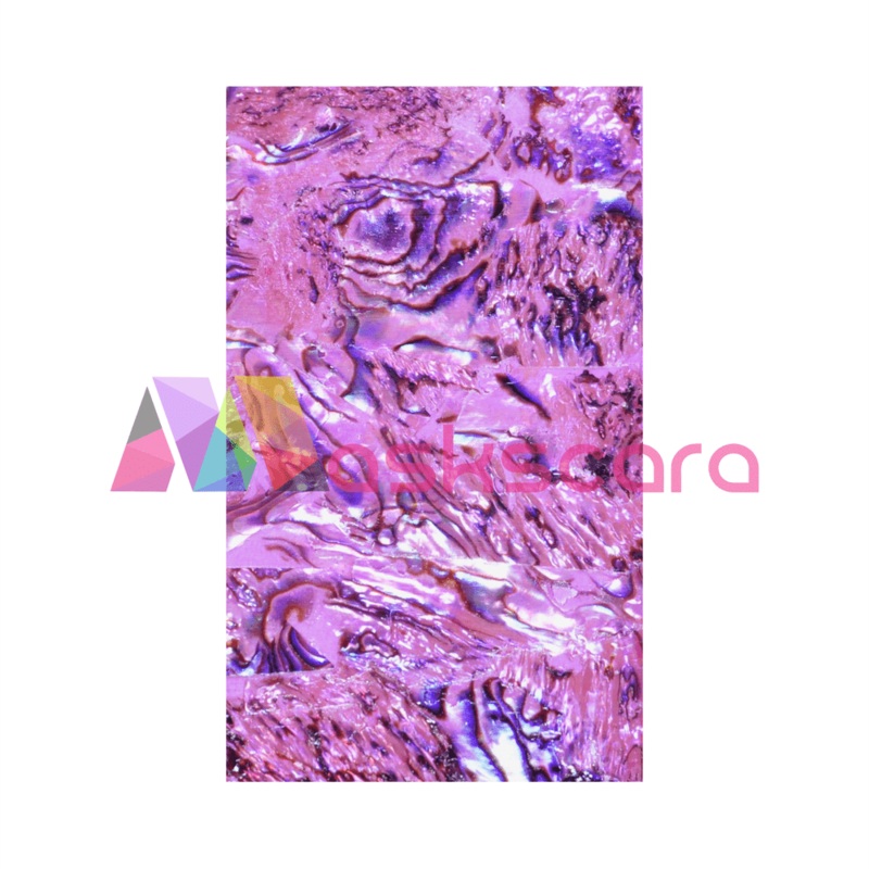 Shell Paper #2 – Rose Coral