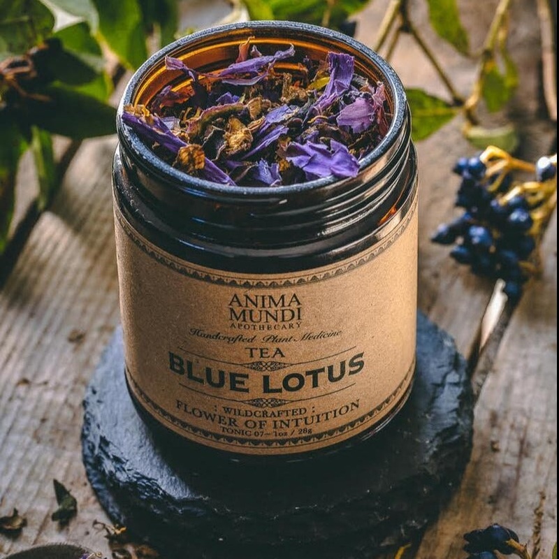 BLUE LOTUS (Tee aus blauem Lotus) ANIMA MUNDI
