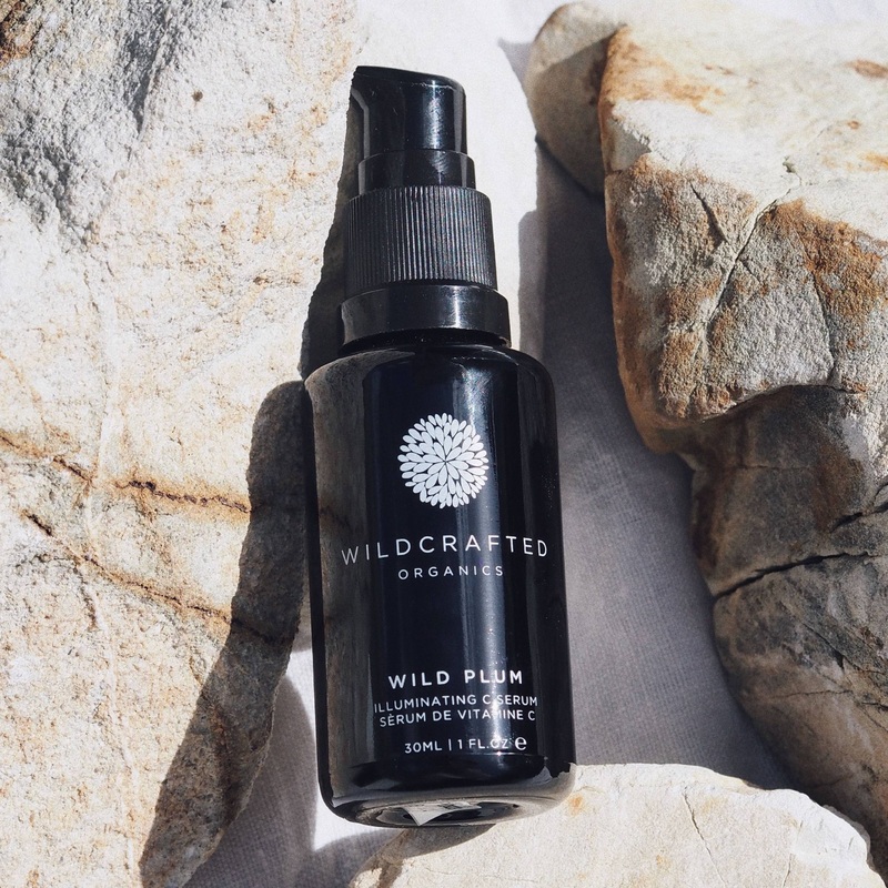 Wild Plum | Wildcrafted Organics – Vitamin C Serum