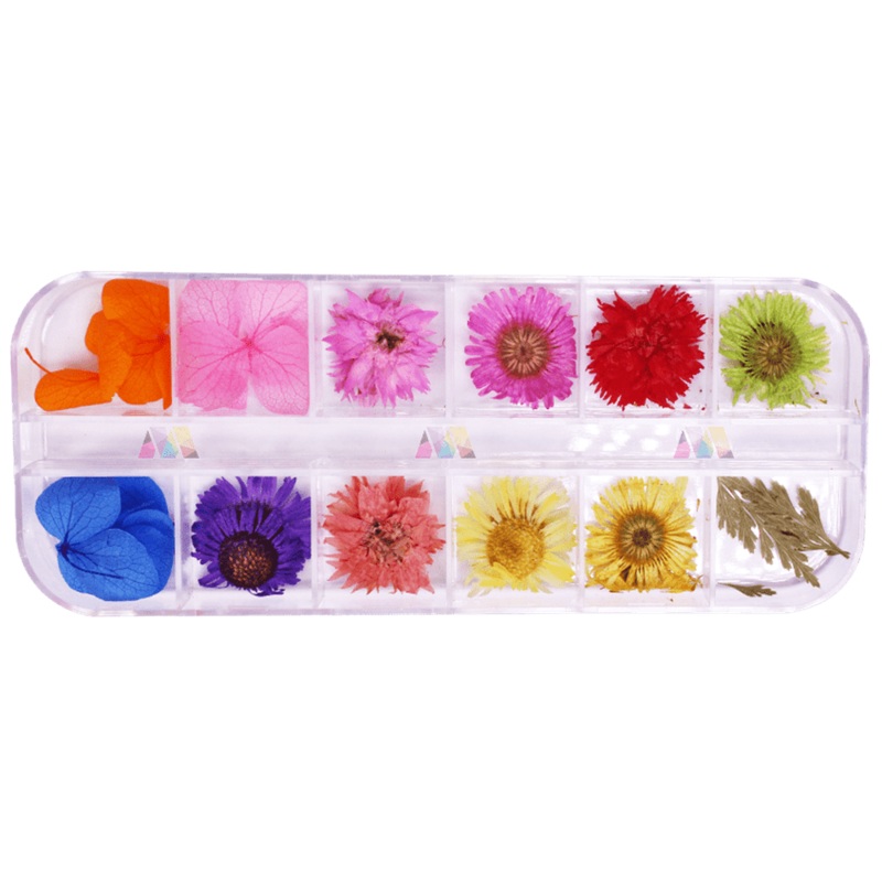 Dry Flower Pack 13 – Daisy