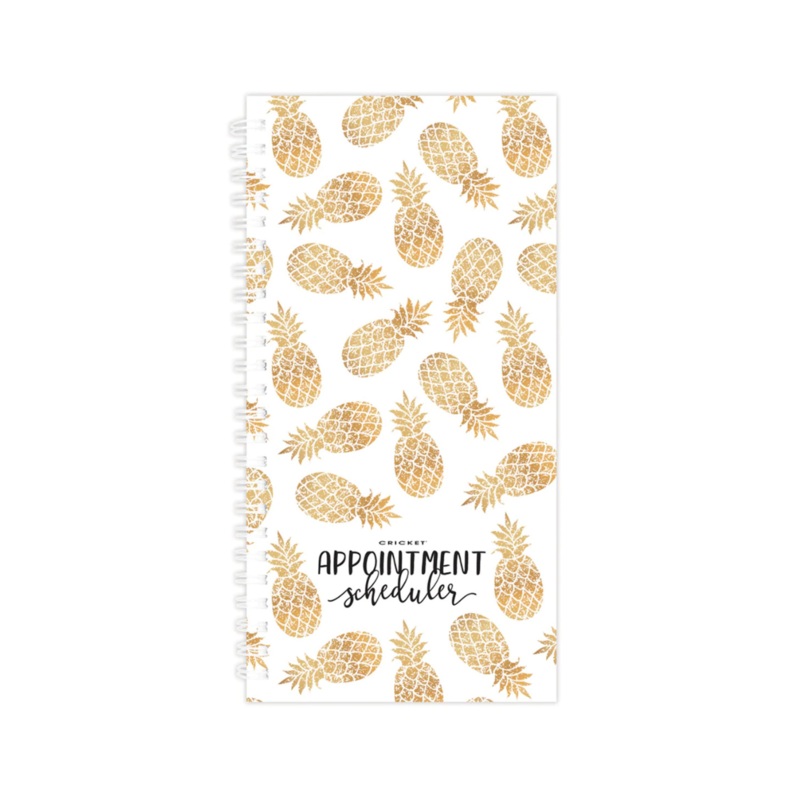 CRICKET 3 COLUMN APPOINTMENT SCHEDULER 150 PAGES