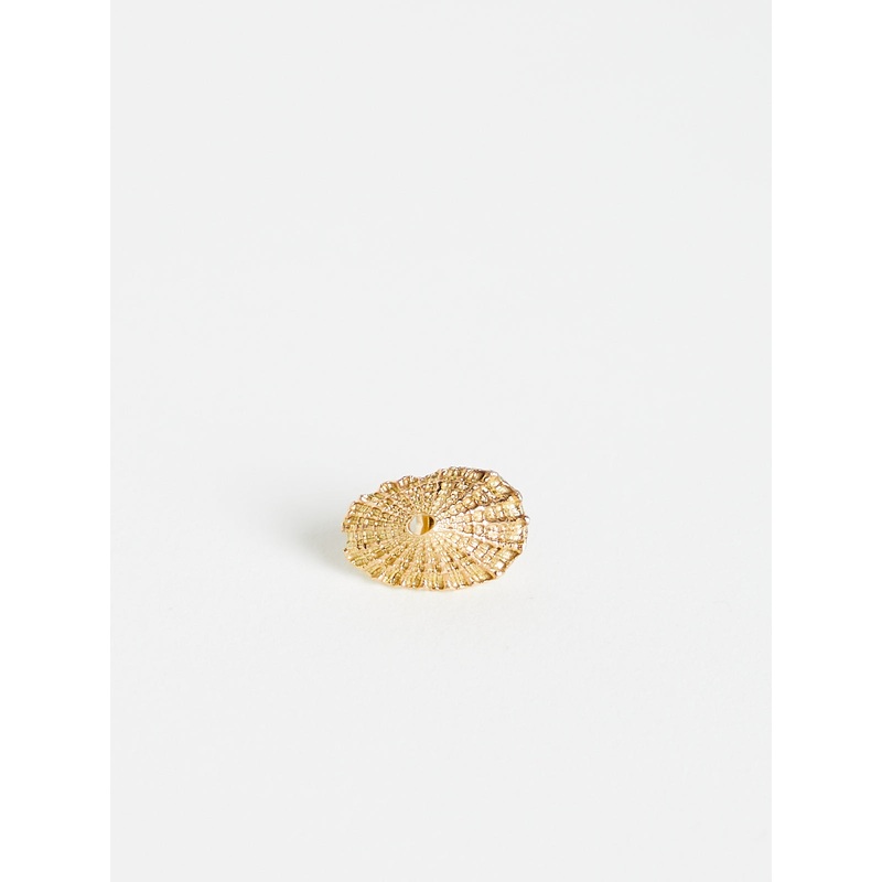 Limpet Pin in 18k Yellow Gold
