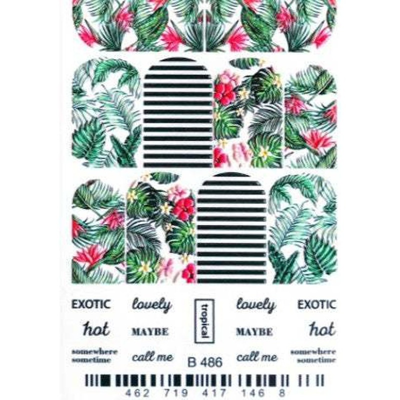 Tropical Water Transfer – 486