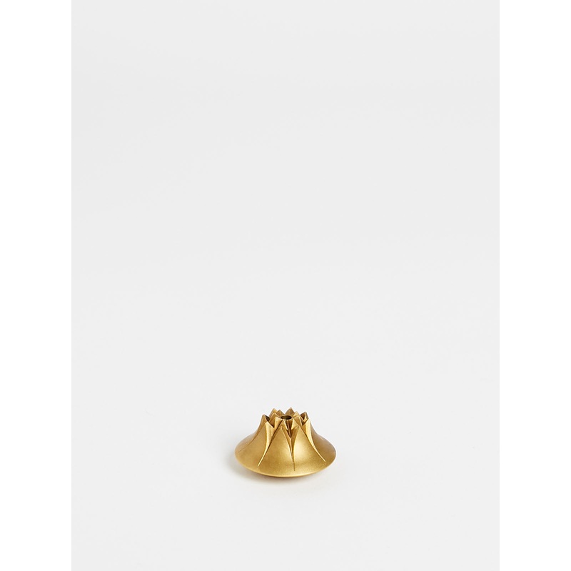 Agave Incense Holder in Satin Brass