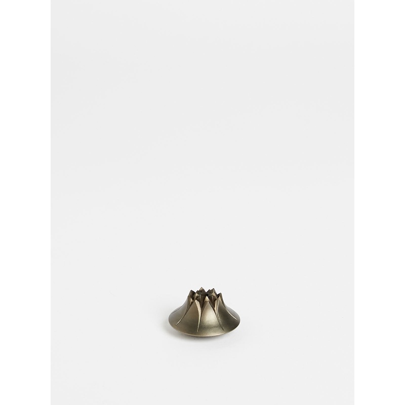 Agave Incense Holder in Blackened Brass