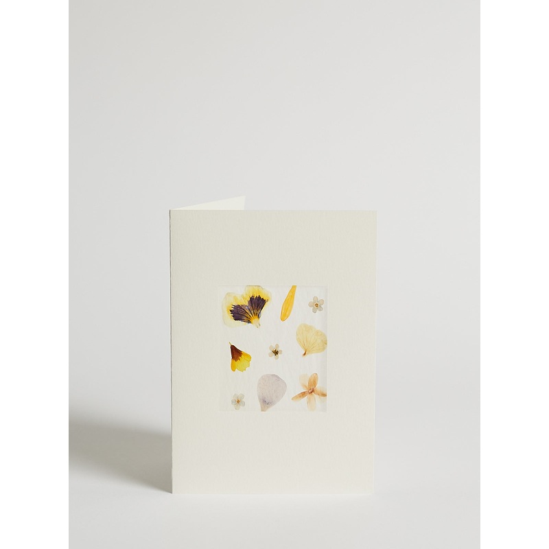 Pressed Flower Cards with Mixed Flowers in Rectangular Window