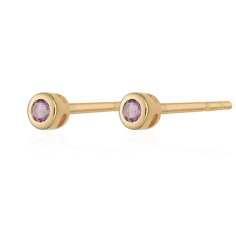 Gold Plated February Birthstone Stud Earrings (Amethyst)