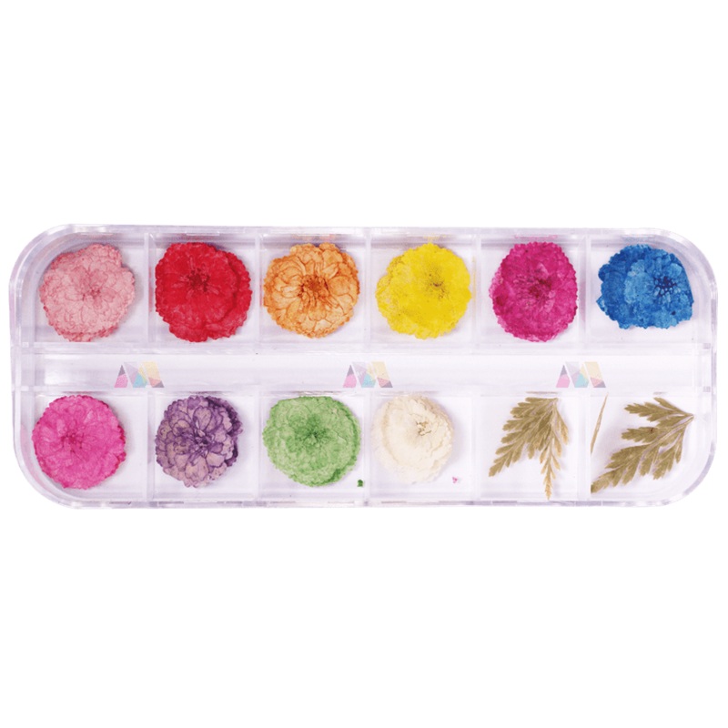 Dry Flower Pack 11 – Poppy