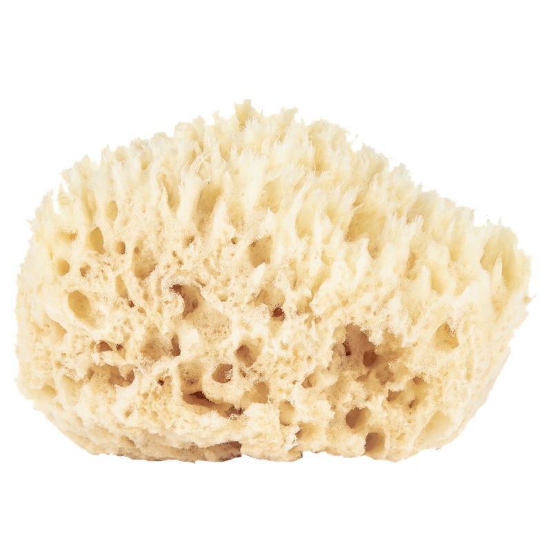 Wool Bath Sponge Small